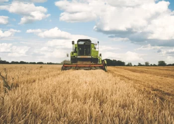 Kırsal kalkınma destekleri için başvurular devam ediyor