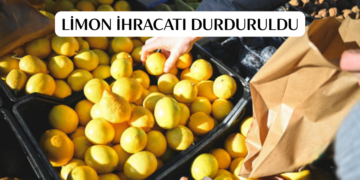 Ticaret Bakanlığı duyurdu! Limon ihracatı geçici olarak durduruldu