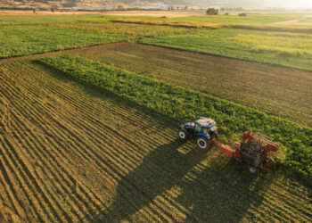 Tarımsal girdi enflasyonu Şubat ayında arttı