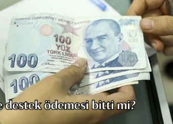 2025 Aile destek ödemesi bitti mi?