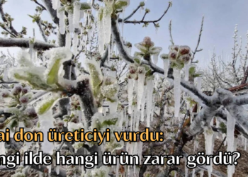 Zirai don üreticiyi vurdu: Hangi ilde hangi ürün zarar gördü?