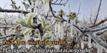 Zirai don üreticiyi vurdu: Hangi ilde hangi ürün zarar gördü?