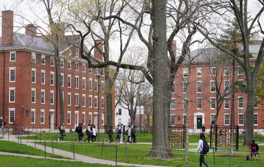 harvard habermeydan