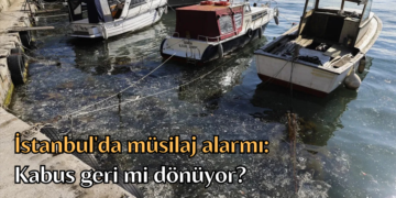 İstanbul’da müsilaj alarmı: Kabus geri mi dönüyor?