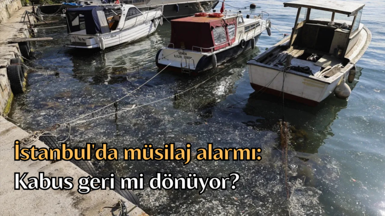 Marmara Denizi’nin çevresel kabusu müsilaj, İstanbul’un Beykoz sahilinde yeniden yüzünü gösterdi. Balıkçı barınaklarının bulunduğu bölgede yoğunlaşan müsilaj tabakası, hem çevre sakinlerini hem de balıkçıları endişelendirdi.