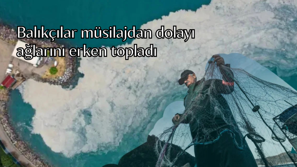 musilaj habermeydan