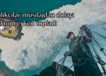 Balıkçılar müsilajdan dolayı ağlarını erken topladı