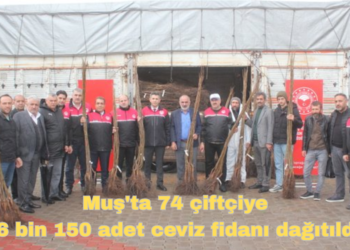Muş’ta, 74 çiftçiye 6 bin 150 adet ceviz fidanı dağıtıldı!