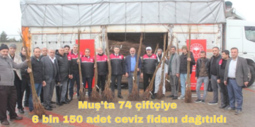 Muş’ta, 74 çiftçiye 6 bin 150 adet ceviz fidanı dağıtıldı!
