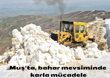 Muş’ta, bahar mevsiminde 2 metreyi bulan karla mücadele!