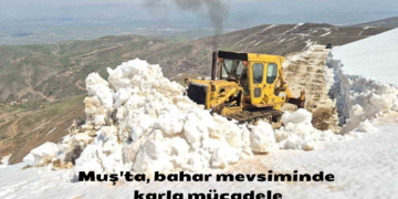 Muş’ta, bahar mevsiminde 2 metreyi bulan karla mücadele!
