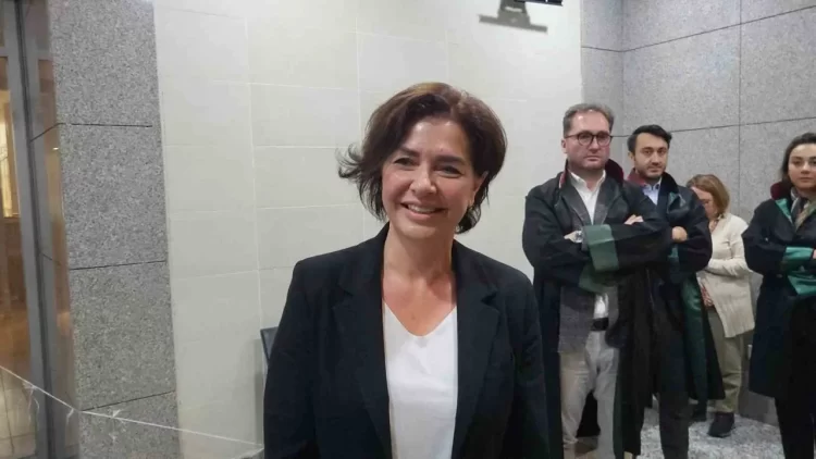 Özlem Gürses'in 52 gün ev hapsinde tutulduğu davada karar verildi. Gürses'e bir yıl üç ay hapis cezası verilirken, hükmün açıklanması ise ertelendi.
