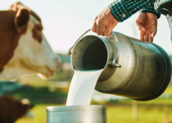 Şubat'ta toplanan inek sütü miktarı geriledi Şubat’ta toplanan inek sütü miktarı geriledi