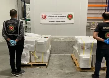 Ticaret Bakanlığı Gümrükler Muhafaza ekiplerinden uyuşturucu operasyonu