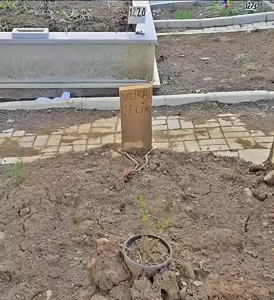 vural celik mezarlik2 habermeydan