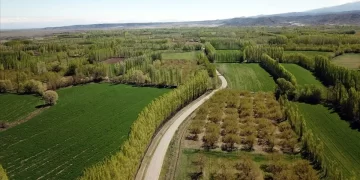 Bakanlıktan 6 Soruda 2B süreci