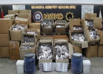 Bakan Yerlikaya: İstanbul’da 15 Ton Bonzai üretilebilecek Ham Madde Ele Geçirdik