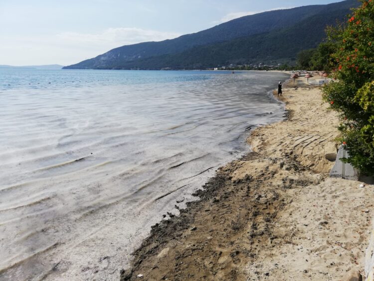 Marmara Denizi habermeydan