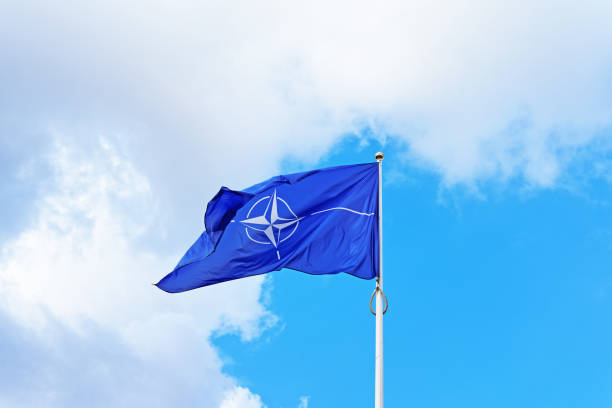 NATO habermeydan