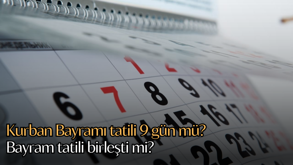 bayram habermeydan