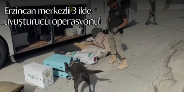 Erzincan merkezli 3 ilde düzenlenen uyuşturucu operasyonunda 20 kilo madde ele geçirildi