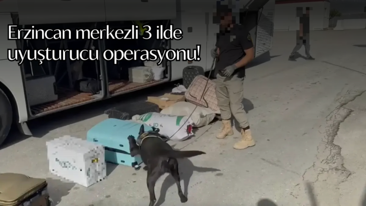 Erzincan merkezli üç ilde gerçekleştirilen operasyonlarda 20 kilo 150 gram skunk ele geçirildi.