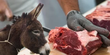Tarım Bakanlığı’ndan şok açıklama: At ve eşek eti skandalı ortaya çıkarıldı
