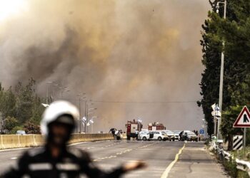İsrail’deki orman yangını için uluslararası yardım talebi