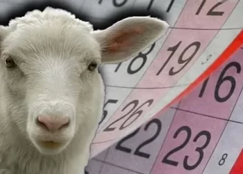 Kurban Bayramı ne zaman başlıyor? Bayrama kaç gün kaldı?