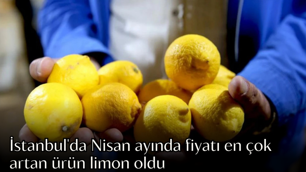 limon habermeydan