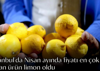 İstanbul’da Nisan ayında fiyatı en çok artan ürün limon oldu