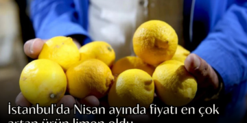 İstanbul’da Nisan ayında fiyatı en çok artan ürün limon oldu