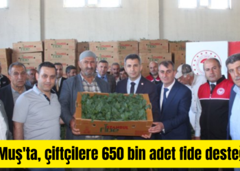 Muş’ta, çiftçilere 650 bin adet sebze fidesi dağıtıldı!