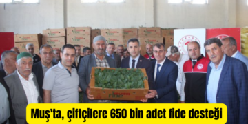 Muş’ta, çiftçilere 650 bin adet sebze fidesi dağıtıldı!