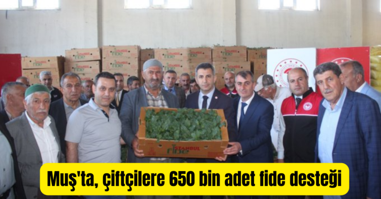 musta ciftcilere 650 bin adet sebze fidesi dagitildi habermeydan
