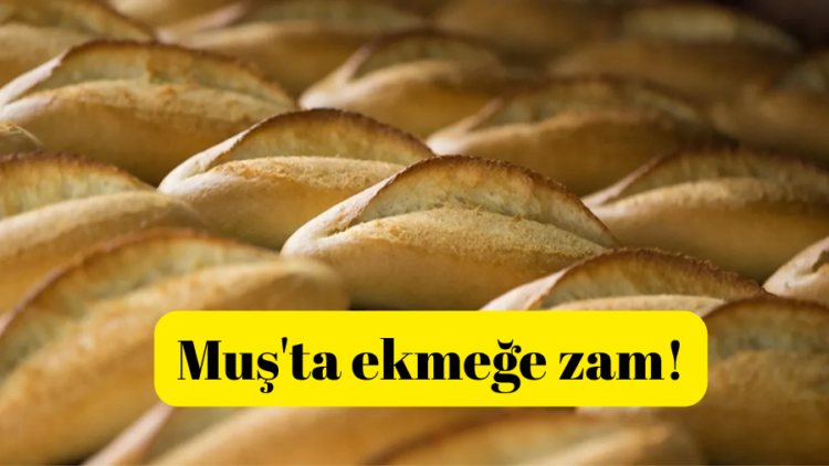 musta ekmege zam habermeydan