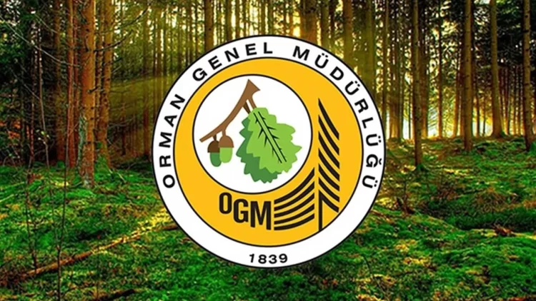 Orman Genel Müdürlüğü’nün 3 bin 477 sözleşmeli destek personeli alımı için heyecanlı bekleyiş sürüyor.