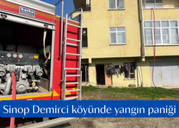 Sinop Demirci köyünde yangın paniği!