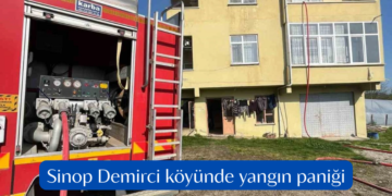 Sinop Demirci köyünde yangın paniği!
