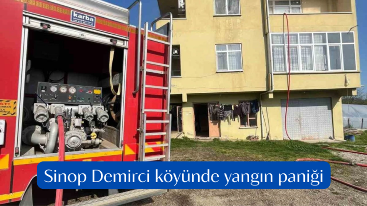 sinop demirci koyunde yangin panigi habermeydan