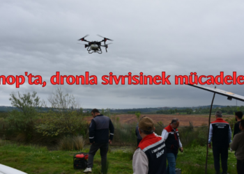 Sinop’ta, dronla sivrisinek mücadelesi başladı!