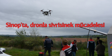 Sinop’ta, dronla sivrisinek mücadelesi başladı!