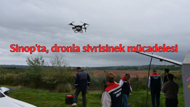 sinopta dronla sivrisinek mucadelesi basladi habermeydan
