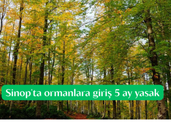 Sinop’ta, ormanlara giriş 31 Ekim’e kadar yasak!