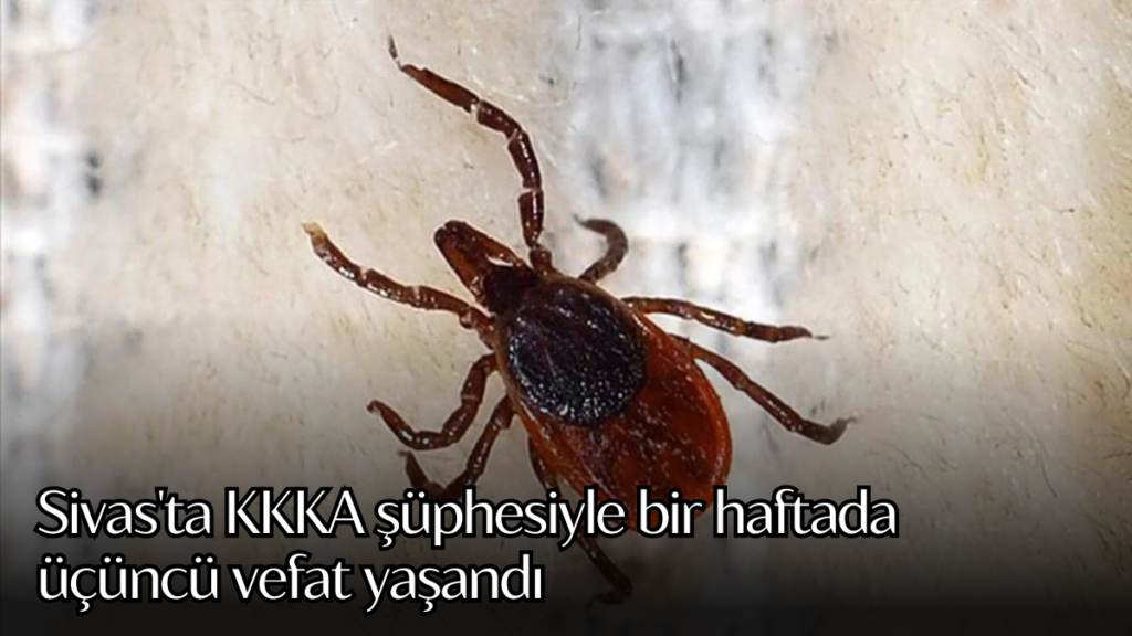 sivasta kkka habermeydan