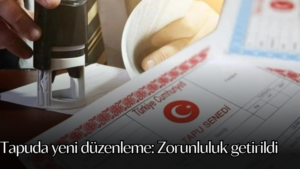 tapu habermeydan