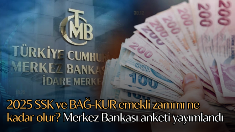 Emekli maaşlarına yapılacak zam için belirleyici olan enflasyon verileri netleşmeye başladı.