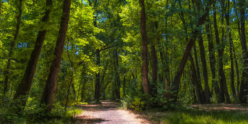 Bakan Yumaklı’dan Orman Yangını Uyarısı!