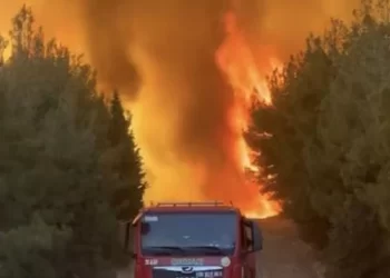 Foça ve Aliağa’da çıkan yangınlar kontrol altına alındı
