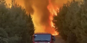 Foça ve Aliağa’da çıkan yangınlar kontrol altına alındı